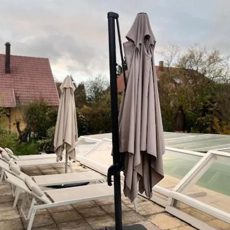 Soh Rent Villa Piscine Proche Strasbourg Tv - Wifi - Parking Lampertheim Exterior photo